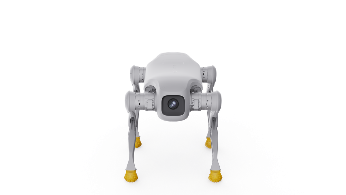 Robot D1